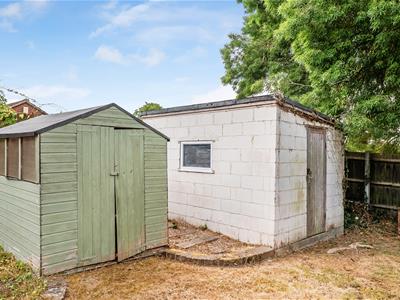 Picture 20